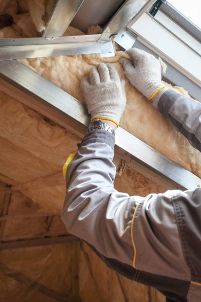 Best Types of Insulation in Chester, SC