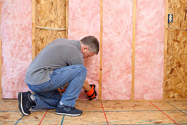 Best Commercial Insulation in Chester, SC